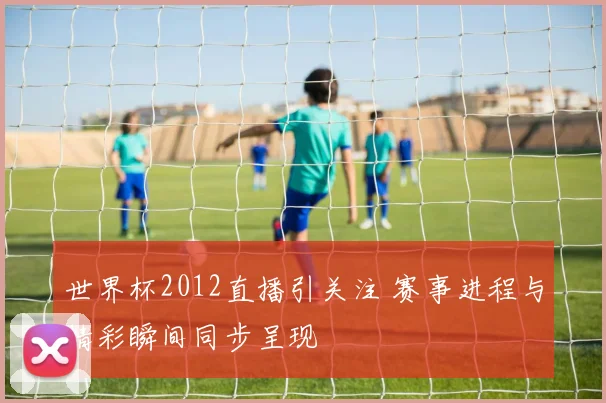 世界杯2012直播引关注 赛事进程与精彩瞬间同步呈现