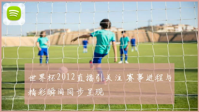 世界杯2012直播引关注 赛事进程与精彩瞬间同步呈现