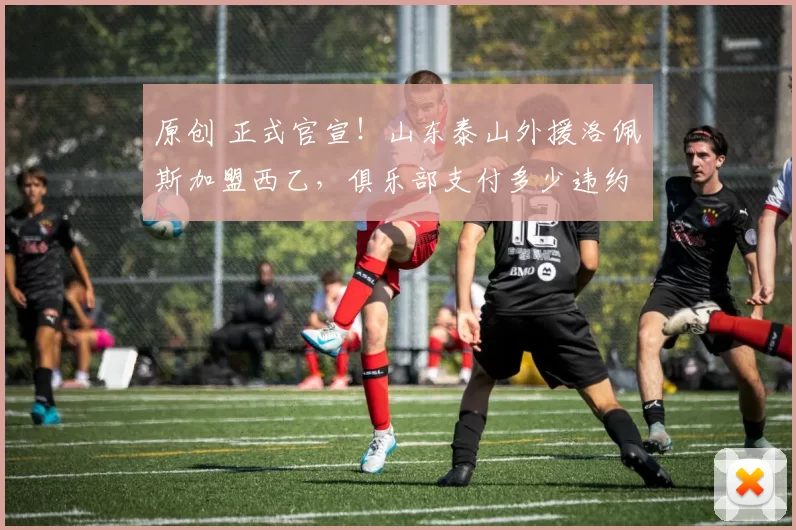 原创 正式官宣！山东泰山外援洛佩斯加盟西乙，俱乐部支付多少违约金？